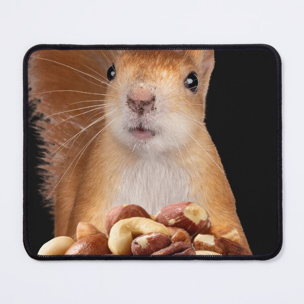 Item preview, You're nuts designed and sold by Soundpups.