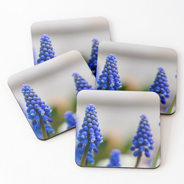 Item preview, Grape Hyacinth Close Up designed and sold by Rabee Khalil Photography.