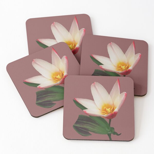 Item preview, White and red tulip blossoms isolated designed and sold by Enerjetal.