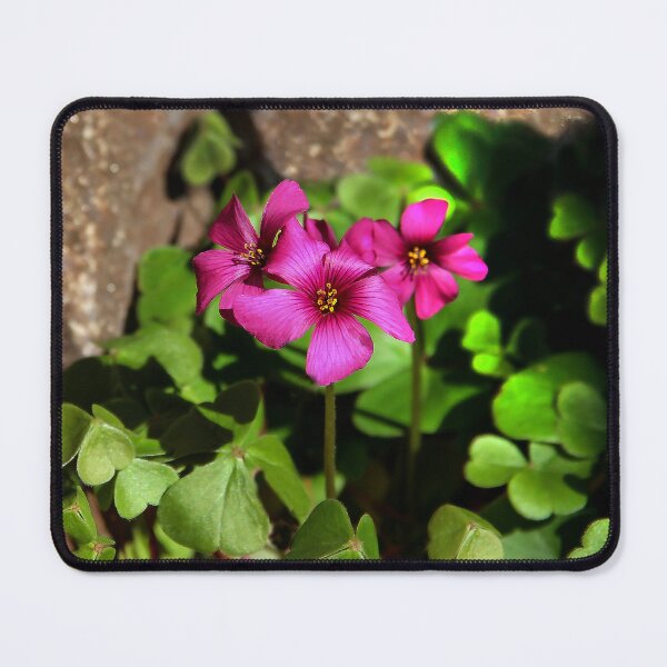 Item preview, Beauty in the Rocks  designed and sold by heatherfriedman.