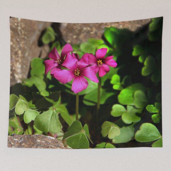 Item preview, Beauty in the Rocks  designed and sold by heatherfriedman.