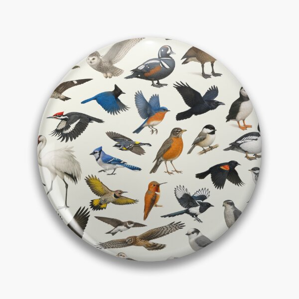 Item preview, Birds of Canada Retro Wildlife Identification Chart designed and sold by kakarikihill.