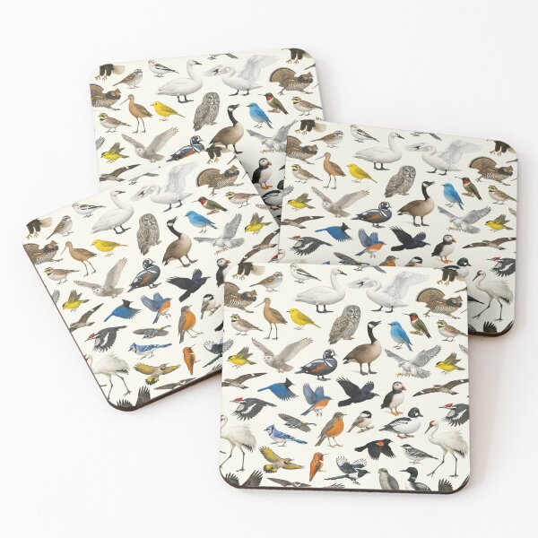 Item preview, Birds of Canada Retro Wildlife Identification Chart designed and sold by kakarikihill.