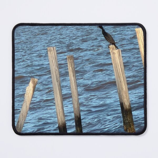 Item preview, Elegant Waterbird: Cormorant at Rest. designed and sold by Pearls1.