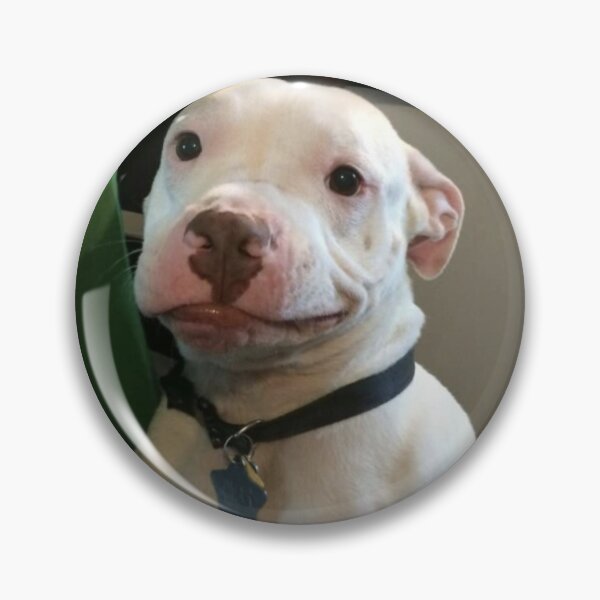 Item preview, Dog Meme designed and sold by Spring Things.