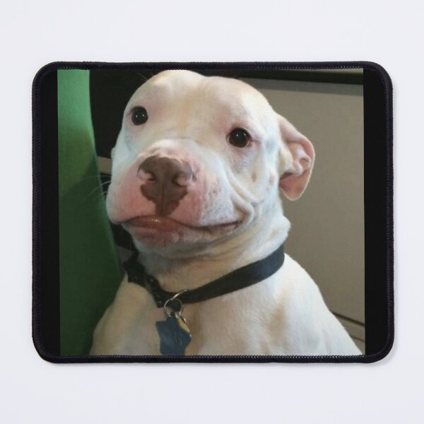 Item preview, Dog Meme designed and sold by Spring Things.