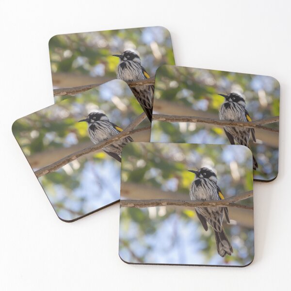 Item preview, New Holland Honey Eater designed and sold by stephendean.