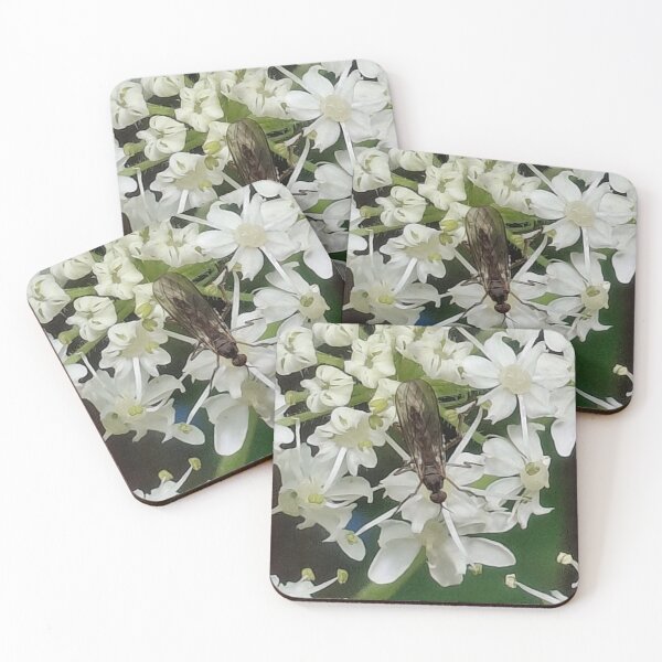 Item preview, Lovely flying bug on white flowers designed and sold by FABric Photos.