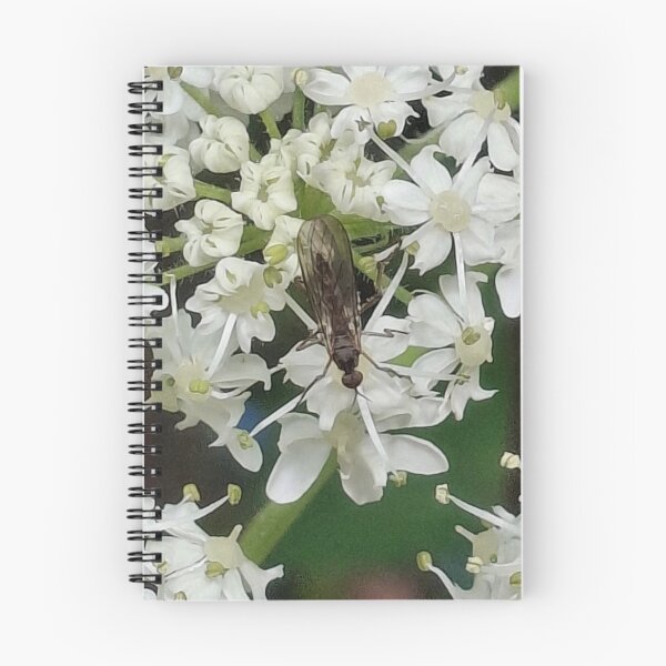 Item preview, Lovely flying bug on white flowers designed and sold by FABric Photos.