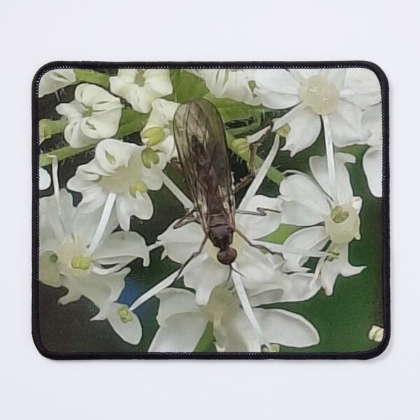 Item preview, Lovely flying bug on white flowers designed and sold by FABric Photos.