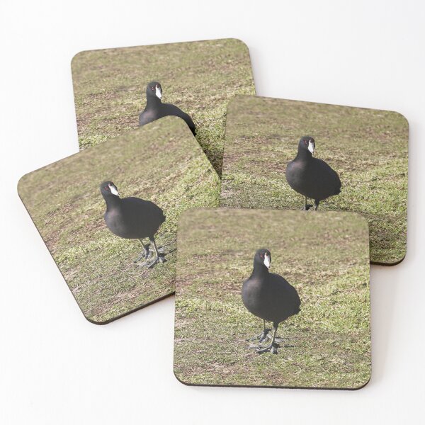 Item preview, I'm Ready, So Take the Photo! designed and sold by heatherfriedman.