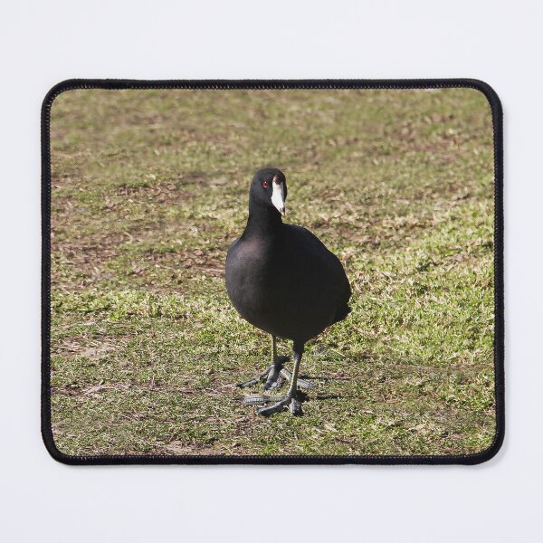 Item preview, I'm Ready, So Take the Photo! designed and sold by heatherfriedman.