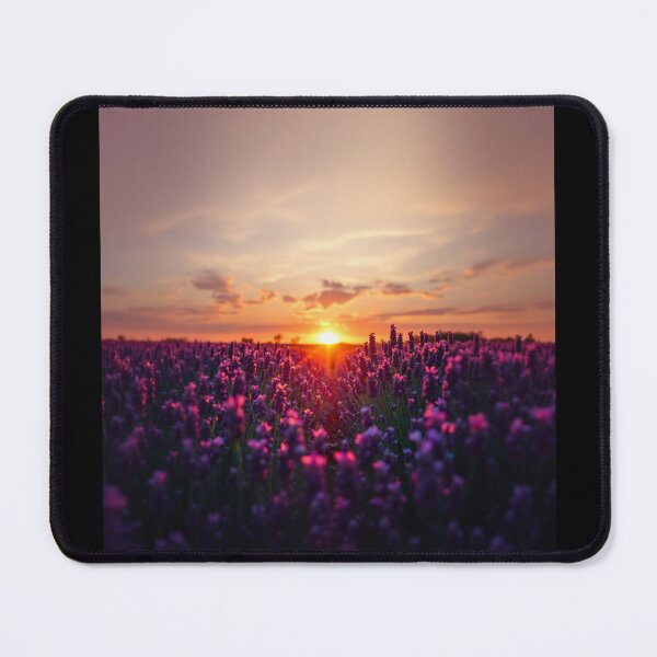Item preview, Lavender Field Sunset designed and sold by Lisamariesumner.