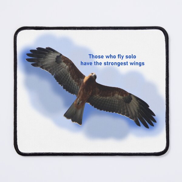 Item preview, Fly Solo designed and sold by MacLittle.
