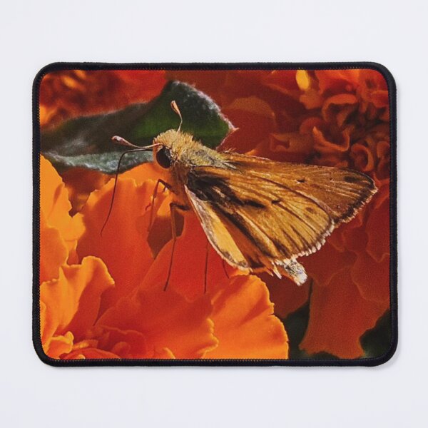 Item preview, Butterfly designed and sold by Courtney Croxall.