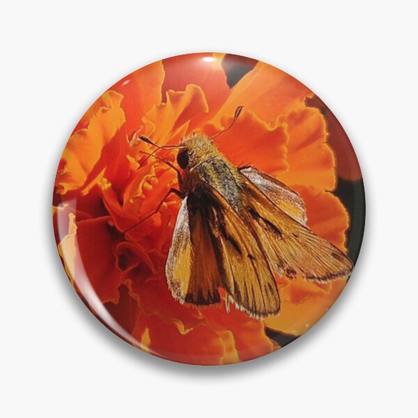 Artikelvorschau, Schmetterling entworfen und verkauft von Courtney Croxall.