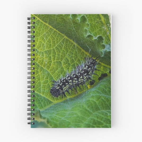 Item preview, Caterpillar  designed and sold by Courtney Croxall.