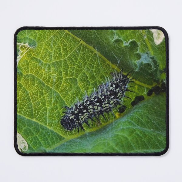 Item preview, Caterpillar  designed and sold by Courtney Croxall.