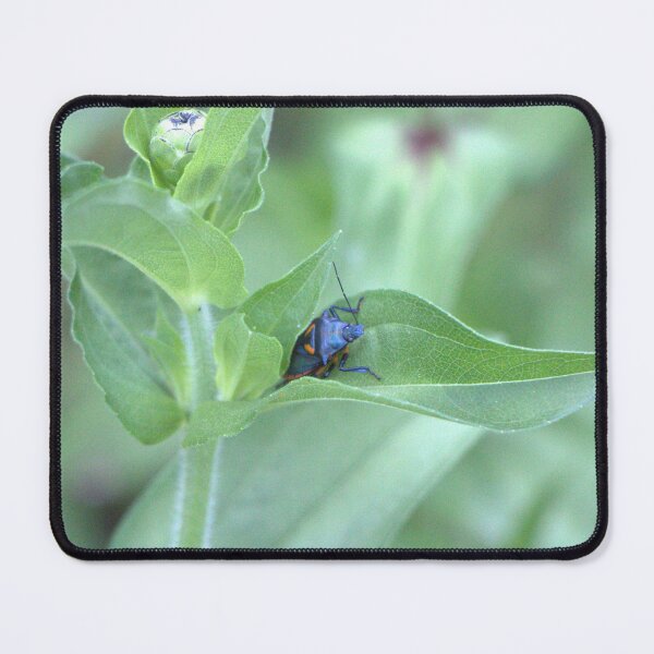 Item preview, Blue Beetle designed and sold by Elanna  Daughtry's.