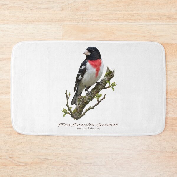 Item preview, Rose Breasted Grosbeak on Branch designed and sold by Takeda-art.