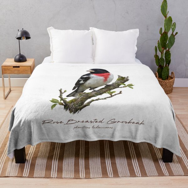 Item preview, Rose Breasted Grosbeak on Branch designed and sold by Takeda-art.