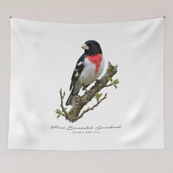 Item preview, Rose Breasted Grosbeak on Branch designed and sold by Takeda-art.