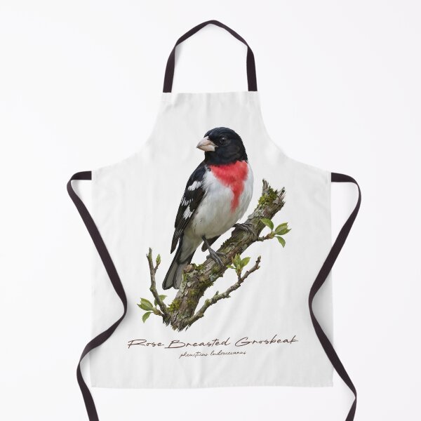 Item preview, Rose Breasted Grosbeak on Branch designed and sold by Takeda-art.