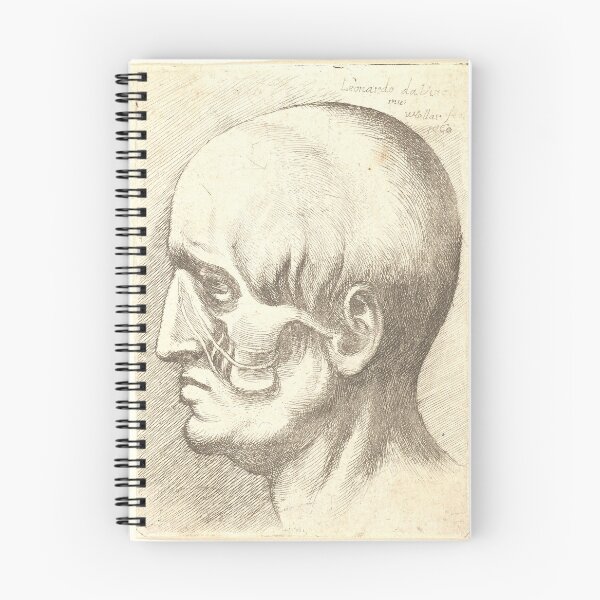 Item preview, Hollar Anatomical Head Profile | Vintage Medical designed and sold by GammaRay.