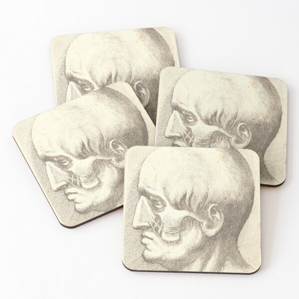 Item preview, Hollar Anatomical Head Profile | Vintage Medical designed and sold by GammaRay.