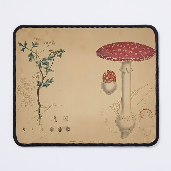 Item preview, Herb And Mushroom Study | Vintage Mycology designed and sold by GammaRay.