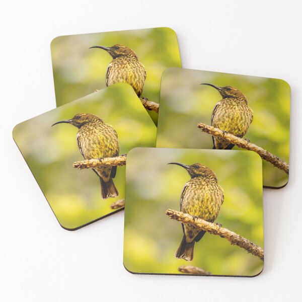 Item preview, Scarlet-chested Sunbird Female - African Bird Portrait Against Green Bokeh, Kruger National Park designed and sold by Johnathan Robinson Photography.