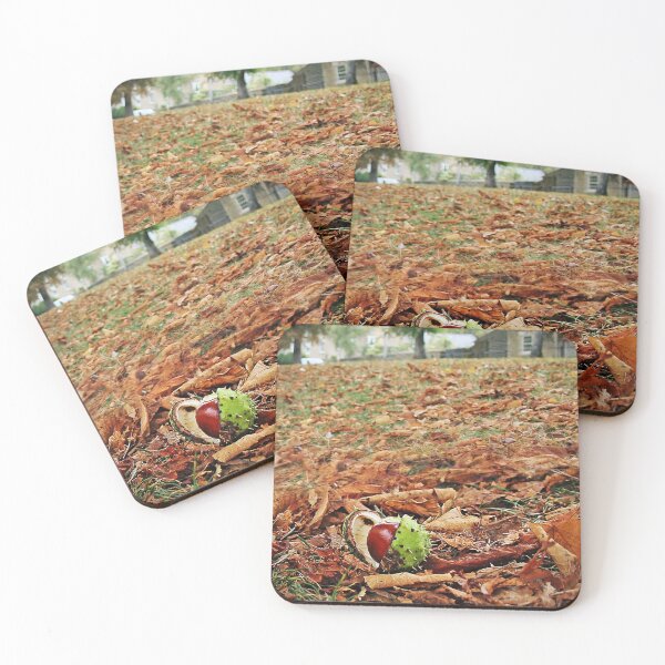 Item preview, Playing Close Conker designed and sold by Murph's Images.