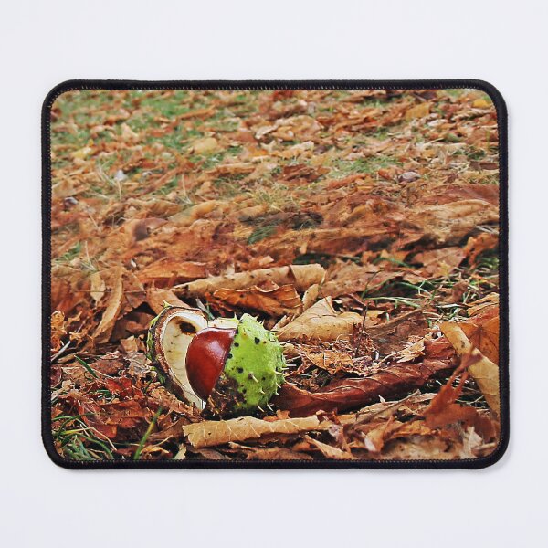 Item preview, Playing Close Conker designed and sold by Murph's Images.