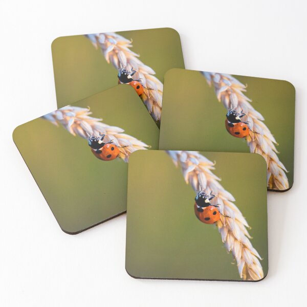 Item preview, Ladybird on Grass designed and sold by heidipics.