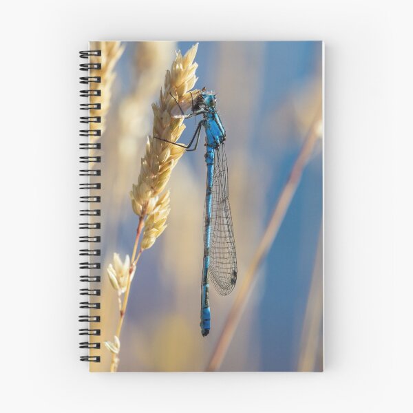 Item preview, Common Blue Damselfly designed and sold by heidipics.