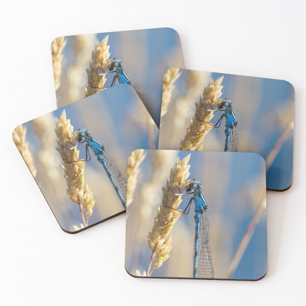 Item preview, Common Blue Damselfly designed and sold by heidipics.