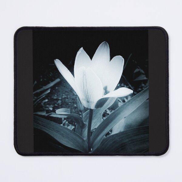 Item preview, Black and white tulip designed and sold by Enerjetal.