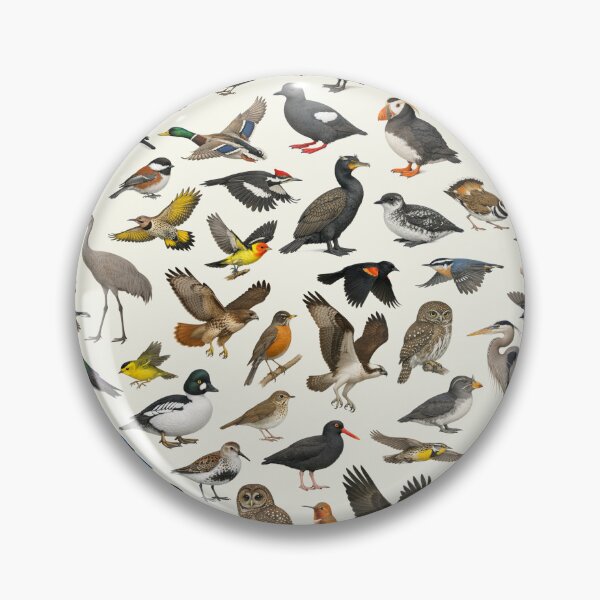 Item preview, Birds of the Pacific Northwest Retro Wildlife Chart designed and sold by kakarikihill.