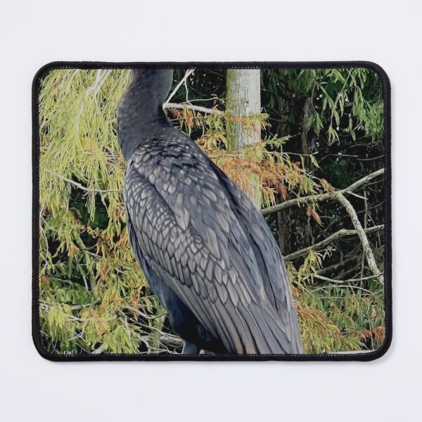 Item preview, Birds The Black Crowes Band aBlossoming Branches designed and sold by apiolands.