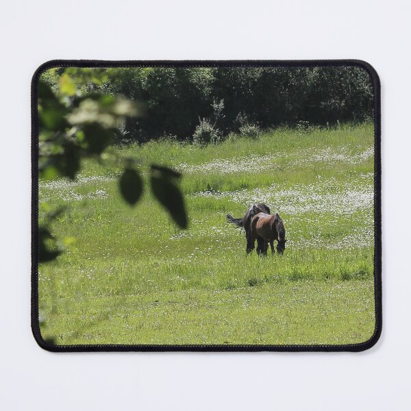 Item preview, horses in the meadow designed and sold by Murph's Images.