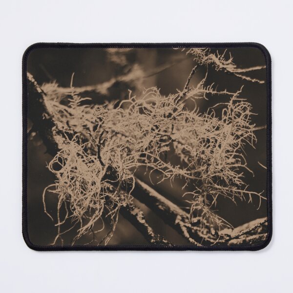 Item preview, Mossy Tree Forest Nature La Reunion designed and sold by artyfartypants.
