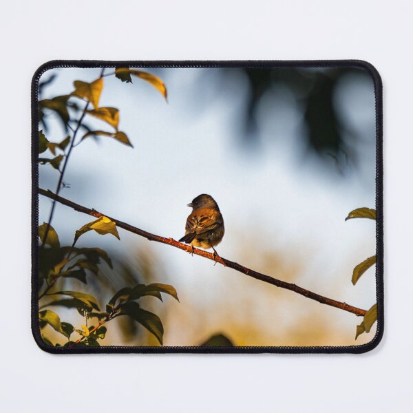 Item preview, Winter Eicher Motors cSparrow Perched designed and sold by apiolands.