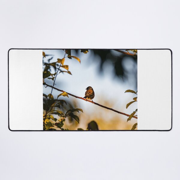 Item preview, Winter Eicher Motors cSparrow Perched designed and sold by apiolands.