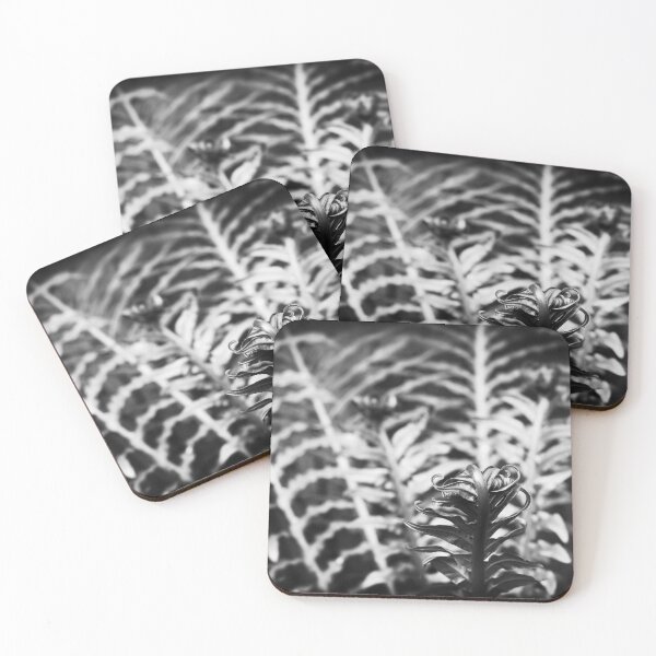 Item preview, Beautiful fern leaves black and white designed and sold by AsahiNoAme.