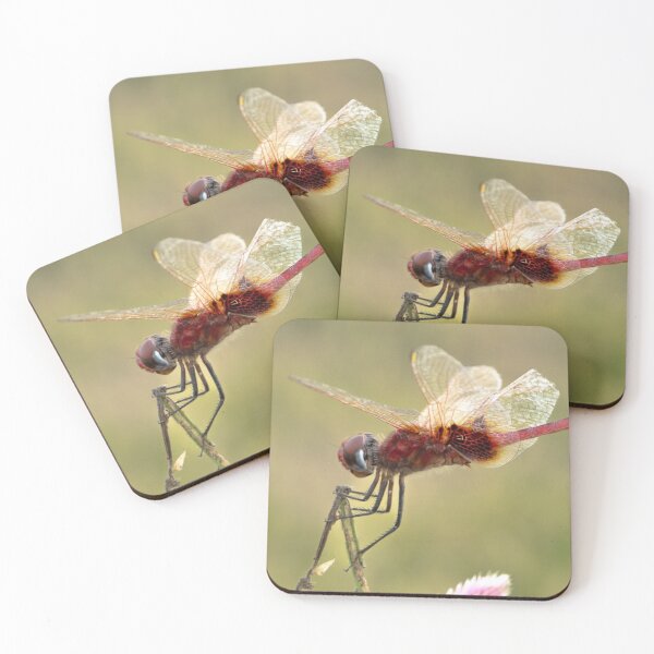 Item preview, Migrating Birds Holiday Stationstores bHorizon designed and sold by apiolands.