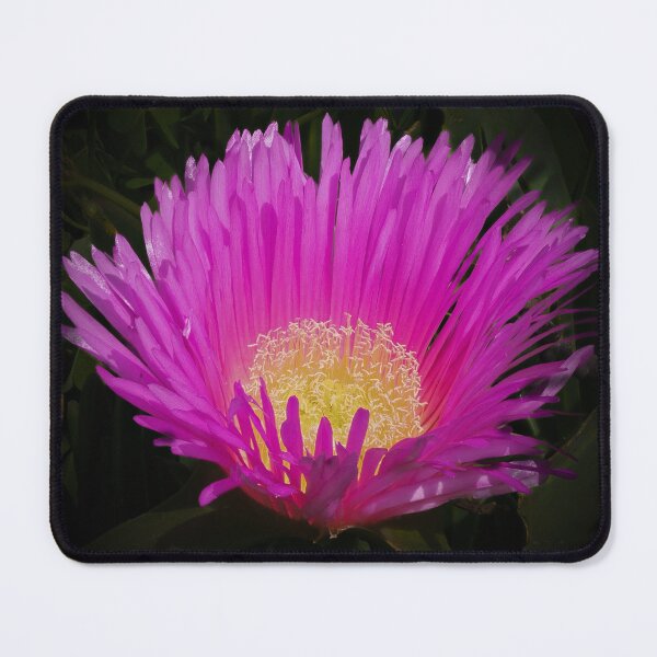 Item preview, Sunny Centred designed and sold by Ralph Goldsmith.
