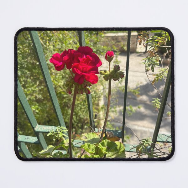 Item preview, Geranium Peeking designed and sold by 55synonyms.