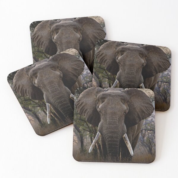 Item preview, African Elephant Bull - Dark Cinematic Fine Art Wildlife Photography, Kruger National Park designed and sold by Johnathan Robinson Photography.