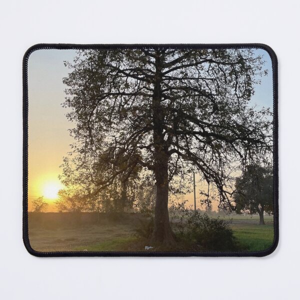 Item preview, Sunset Behind a Lone Tree designed and sold by NafishopKhan.