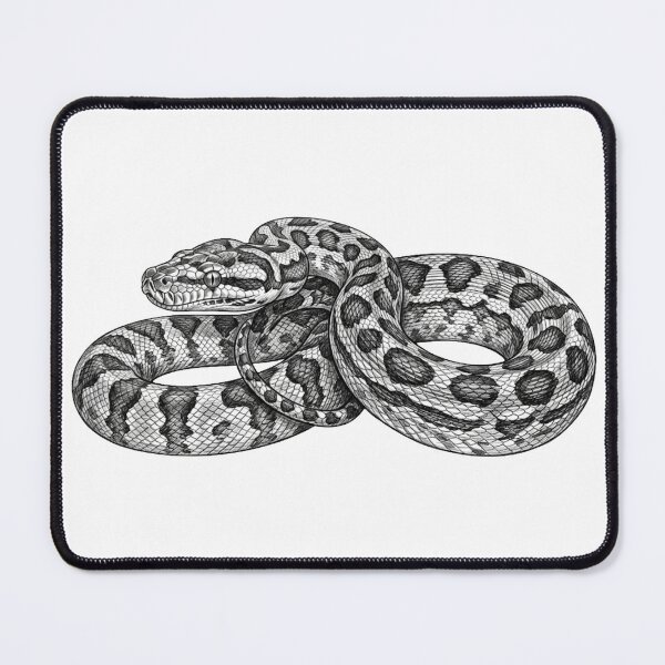 Item preview, Detailed Jungle Python Snake Coiled Sketch Art designed and sold by Digital Duniyah.